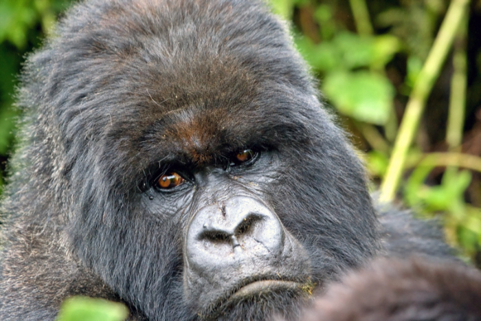 VISIT RWANDA WITH GOOD LIFE EXPERIENCES (118)