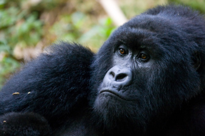 VISIT RWANDA WITH GOOD LIFE EXPERIENCES (136)