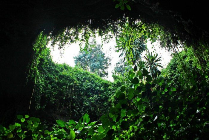 VISIT RWANDA WITH GOOD LIFE EXPERIENCES (150)