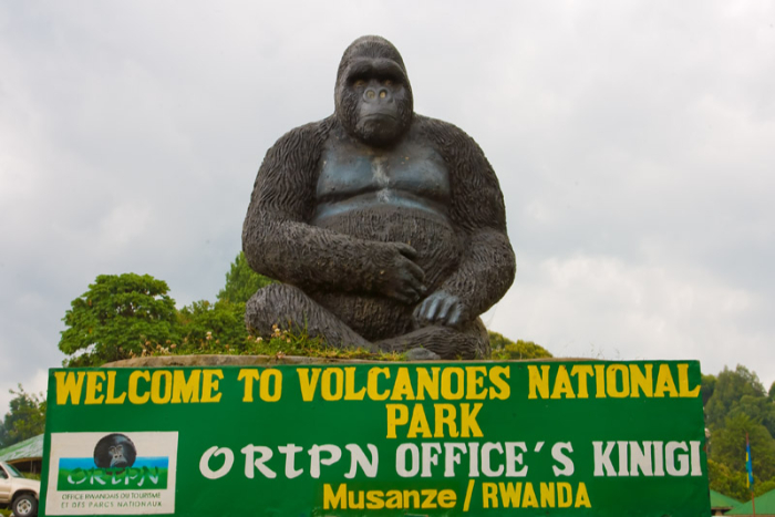 VISIT RWANDA WITH GOOD LIFE EXPERIENCES (153)