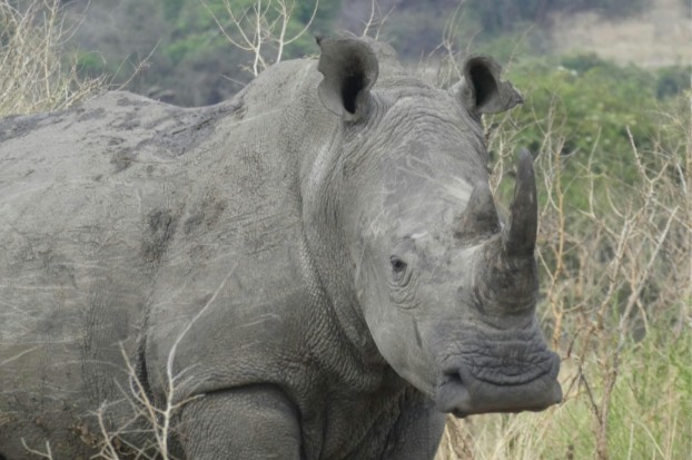 VISIT RWANDA WITH GOOD LIFE EXPERIENCES (154)