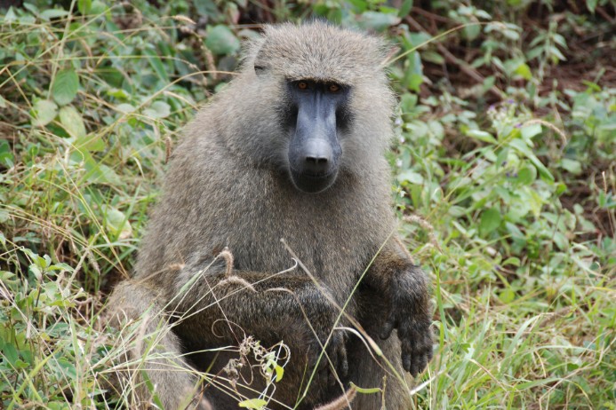VISIT RWANDA WITH GOOD LIFE EXPERIENCES (157)
