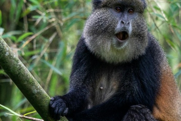 VISIT RWANDA WITH GOOD LIFE EXPERIENCES (158)