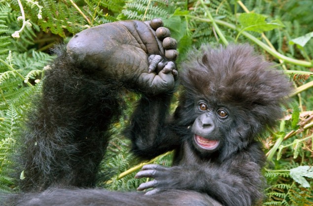 VISIT RWANDA WITH GOOD LIFE EXPERIENCES (169)