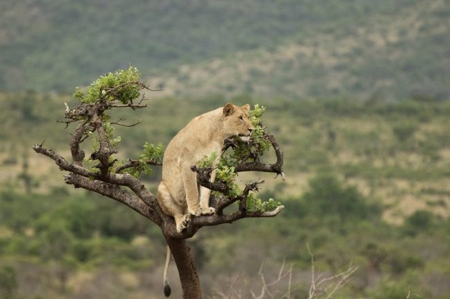 VISIT RWANDA WITH GOOD LIFE EXPERIENCES (21)