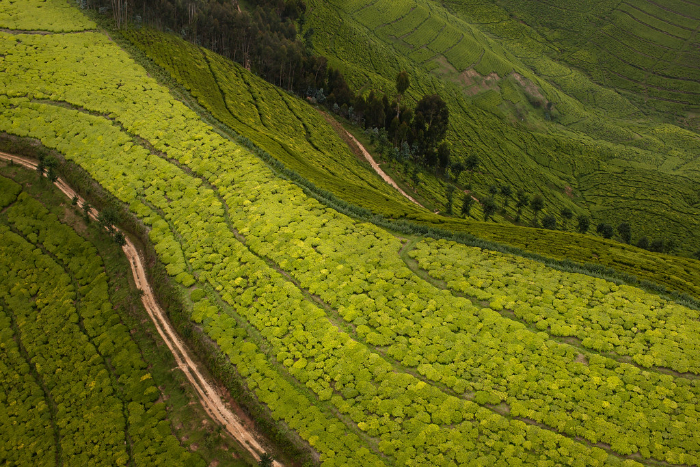 VISIT RWANDA WITH GOOD LIFE EXPERIENCES (68)