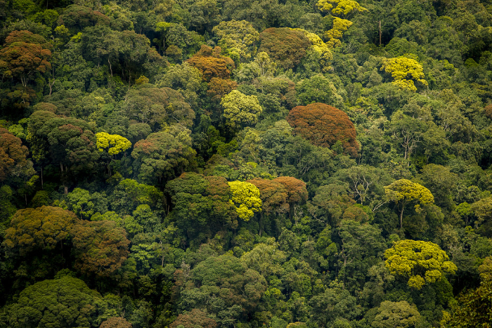 VISIT RWANDA WITH GOOD LIFE EXPERIENCES (75)