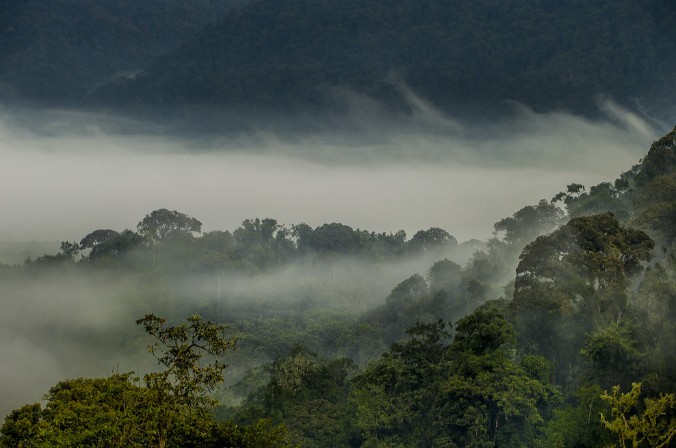 VISIT RWANDA WITH GOOD LIFE EXPERIENCES (78)