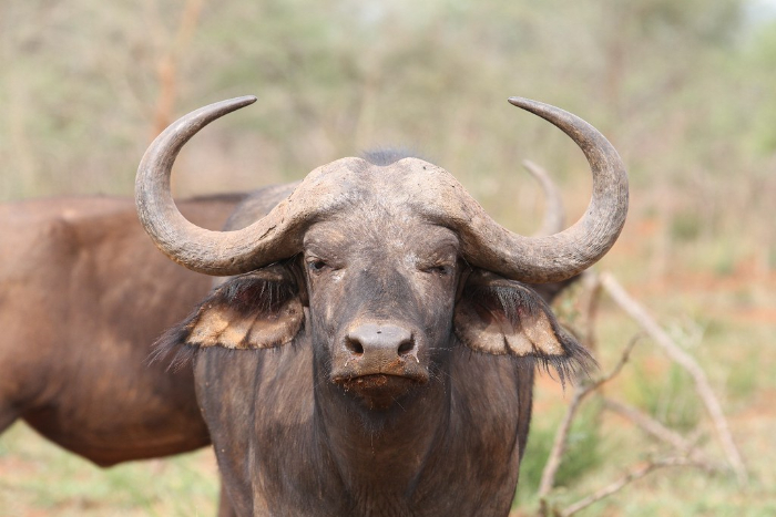 VISIT RWANDA WITH GOOD LIFE EXPERIENCES (79)