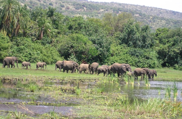 VISIT RWANDA WITH GOOD LIFE EXPERIENCES (80)