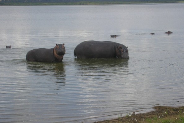 VISIT RWANDA WITH GOOD LIFE EXPERIENCES (81)