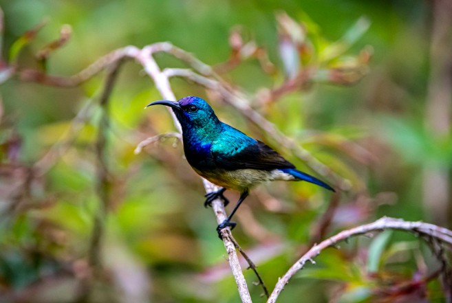 VISIT RWANDA WITH GOOD LIFE EXPERIENCES (90)