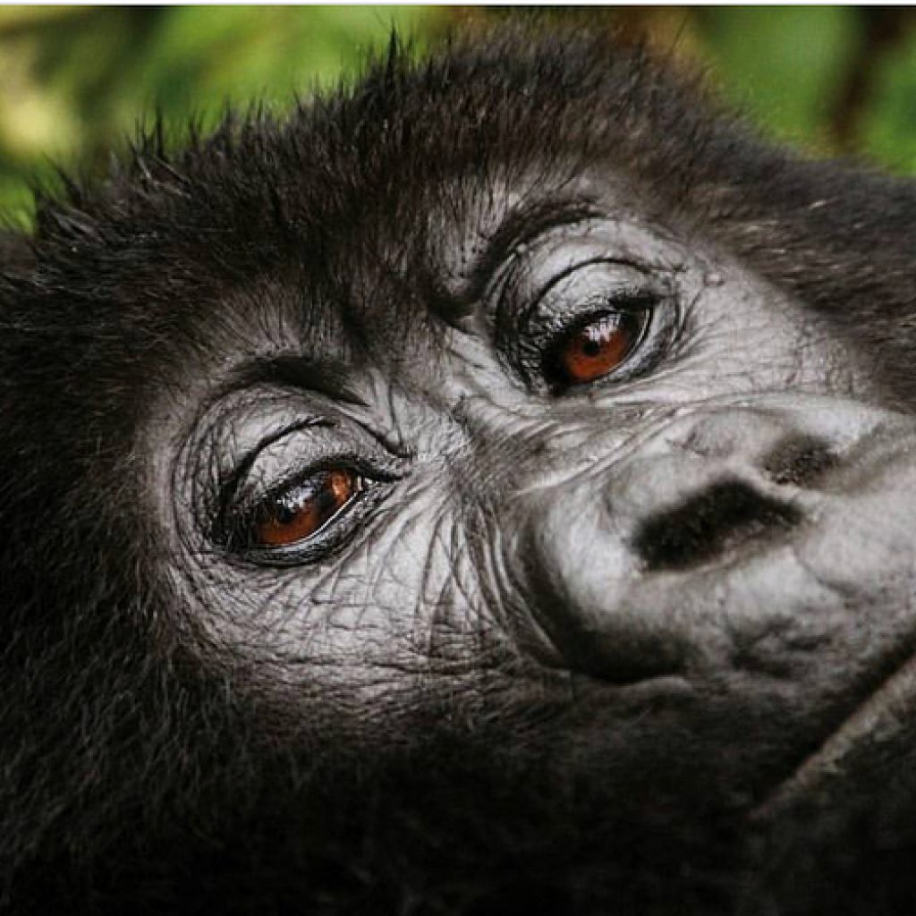 beyond the hills tours visit rwanda (91)